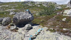 Berhomsfjellet stidele