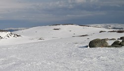 Øst for Langtjernkollen