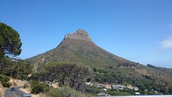 Lion's Head