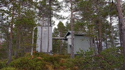 Skjørliantenna