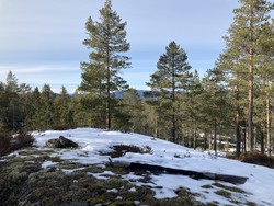 Tretjernshøgda Sørøst