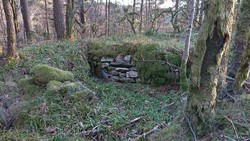 Ruin nord for Ankerhytten