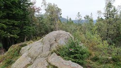 Torrfjellet