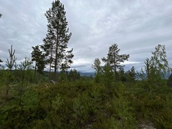 Seteråsen i Øvre Eiker