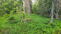 Snipetjernhøgdene Sørøst