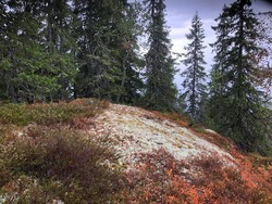 Grasdalskollen sørvest