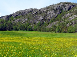Amdalsfjellet