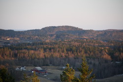 Storås i Stokke