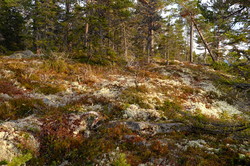 Raudkletten nordtoppen