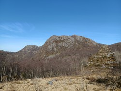 Nord for Allmannaskaret