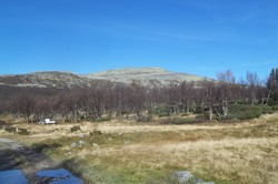Storfjellet i Ringebu