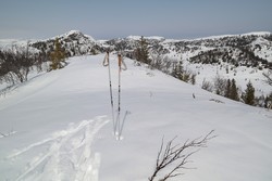 Vest for Kisteåsnatten