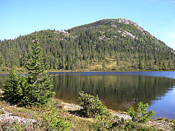 Rognlifjellet