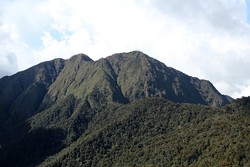 Mount Kitanglad