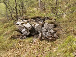 Ruin nord for Kvitebjørnen