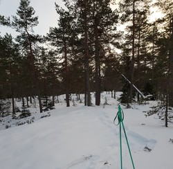 Skutberget i Nittedal