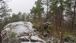 Vest for Fyllingsnipa