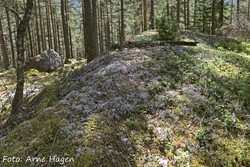 Korsødegårdsberget