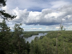 Koniavuori