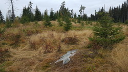 Vårsetergrenda, aust for