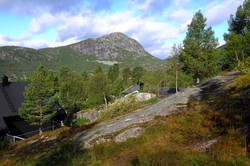 Hovdenuten