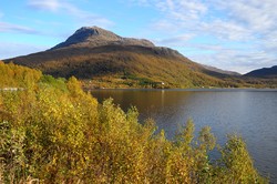 Stortinden i Dyrøy og Sørreisa