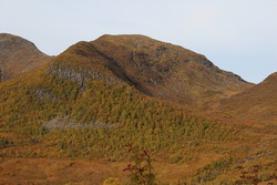 Seterfjellet