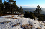 Musekollen