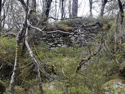 Ruin SØ for Fjellheim
