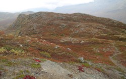 Nørdre Rauskryuhøe