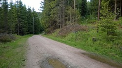 Ebbestadvannet - sti fra SØ