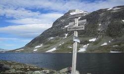 Rauddalsvatnet stikryss t-stier