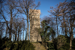 Wzgórze Zamkowe w Cieszynie