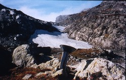 Vassmælaren Gommahaug