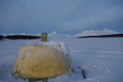 Treriksrøys Norge, Sverige og Finland