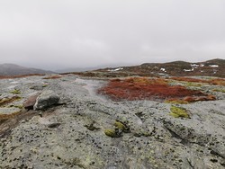 Sør for Vereknolten