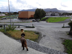 Tursti Kulturhuset - Hornseten