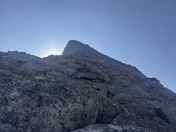 Litlsomrungnebba nordrygg