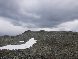 Øst for Bergsfjellet