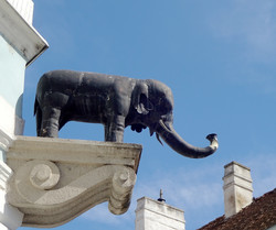 Fekete Elefánt cégér