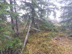 Gjerdrumsberget trig. punkt