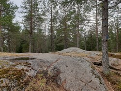 Skjettenåsen