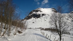Vardafjellet
