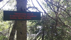 Fallskjermslipp til Hjemmefronten