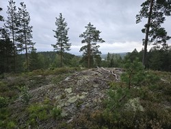 Sørvest for Høgåsen