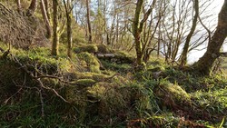 Ruin SØ for Fjellstova