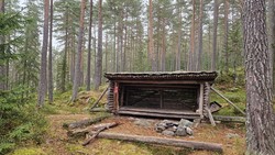 Fossmarka gapahuk