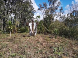 Cerro del Sacromonte