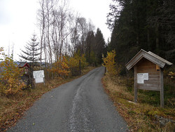 Rusvegen