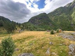 Løst, stølen